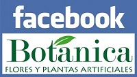 BotanicaFloyesyPlantas
